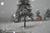 Elkwood Manor, Luxury Bed and Breakfast::BedAndBreakfast.com