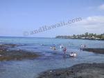 Kahaluu Beach