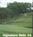 Holiday Hills Resort & Golf::Travelocity.com