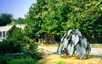 Myriad Botanical Gardens & Crystal Bridge Tropical Conservatory