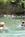 Discovery Cove::ThemeParkInsider