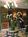 Clarion Collection Garden District Hotel::Expedia