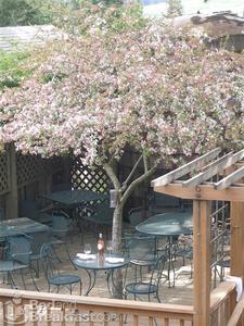 Valley Ford Hotel::BedAndBreakfast.com