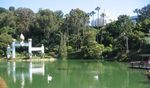 Tn-290px-yogananda_center_-_lake_and_swan