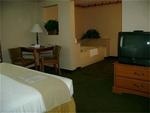 Tn-t07717_suite_01_f