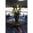 Doral Arrowwood::Expedia