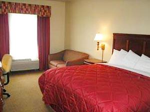 Web-dfw_beni-rooms-3