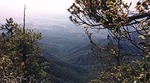 Tn-trail-running-in-the-southwest-desert-in-tucson-2