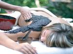 Joe's Salon and Spa