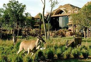 Disney's Animal Kingdom Lodge::Hotels.com