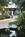 Hoffman Haus::BedAndBreakfast.com