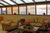 Best Western Regency Motor Inn::Priceline.com