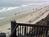 Moonlight Beach State Beach::Yahoo! Travel