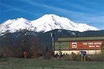 Best Western Tree House Motor Inn