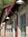 Foundry Park Inn And Spa::Expedia