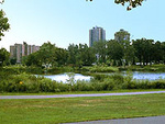 Loring Park