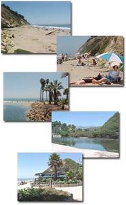 Arroyo Burro Beach::Santabarbara.com