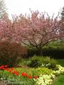 Vintage Gardens Bed and Breakfast