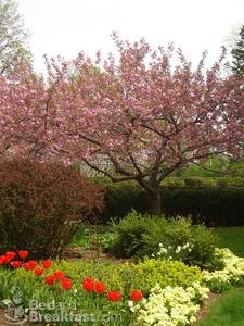 Vintage Gardens Bed and Breakfast::BedAndBreakfast.com