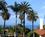 Bed and Breakfast Inn at La Jolla::BedAndBreakfast.com