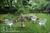 Two Wee Cottages Bed & Breakfast::BedAndBreakfast.com