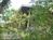 Scenic Hill::BedAndBreakfast.com