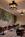 Holiday Inn Express Magnificient Mile Hotel Cass::Priceline.com