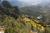 Sandia Peak Tramway::Sandiapeak.com