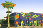Iguana Lounge (The)