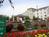 Holiday Inn Hotel Gresham from ProfessionalTravelGuide.com