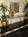 Holiday Inn Select Convention Center::Priceline.com