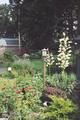 Van Voast House B&B