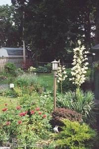 Van Voast House B&B::BedAndBreakfast.com
