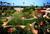 Le Parker Meridien Palm Springs::Orbitz