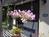 Delfino Vineyards Bed & Breakfast::BedAndBreakfast.com