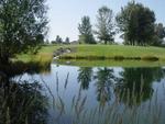 Cottonwood Hills Golf Course