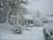 Carriage House Inn::BedAndBreakfast.com
