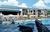 Parkway International::Priceline.com