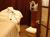 Fusion Medical Spa from SpaFinder.com
