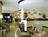 Sheraton Myrtle Beach Convention Center Hotel::Expedia