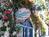 Best Western Beachside Inn::Orbitz