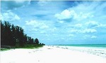 Tn-11527-beach-1