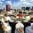 Marriott Orlando Downtown::Expedia