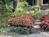 Wings Hill::BedAndBreakfast.com