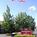 Residence Inn by Marriott Portland West::Orbitz
