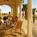 Marriott Marco Island Beach Resort Golf Club and Spa::Orbitz