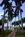 Ho'olei at Grand Wailea::ZoomAndGo