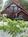 Apple Farm::Priceline.com