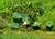 Paynes Prairie State Preserve::TripAdvisor
