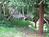 Pescadero Creek Inn::BedAndBreakfast.com